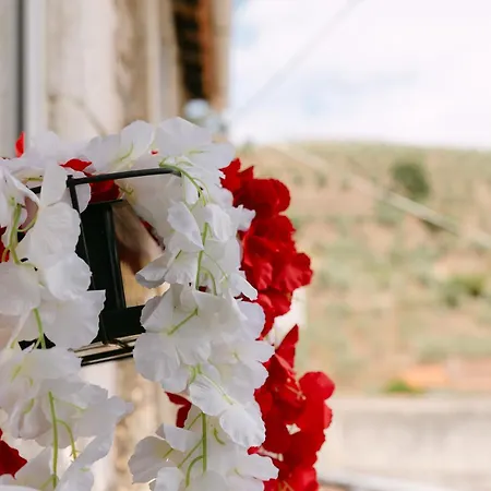 Casa vacanze Peso Douro *
